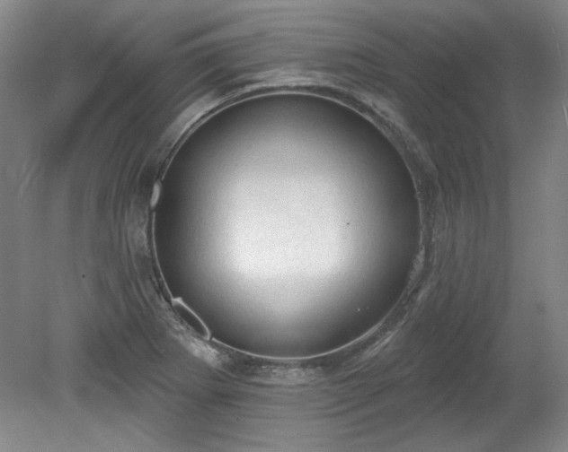 X0000078231273200611101000