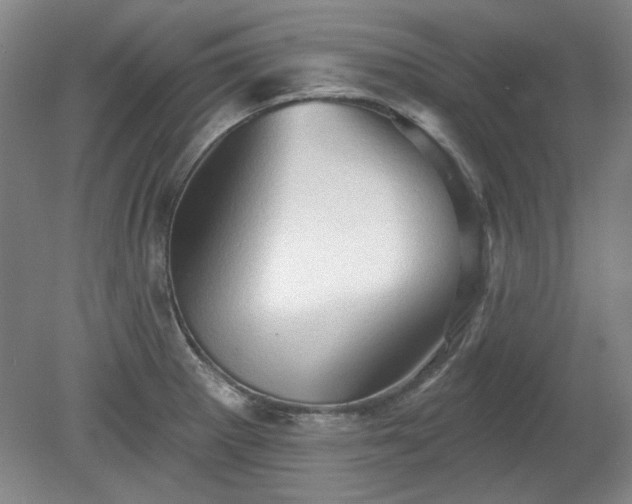 X0000078231281200611101000