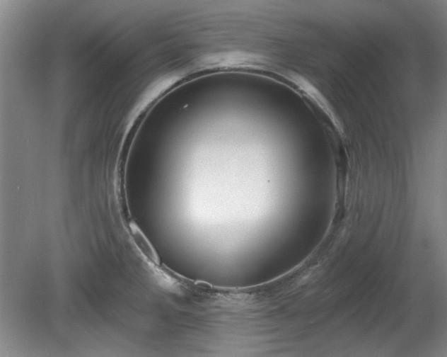 X0000078231285200611101000