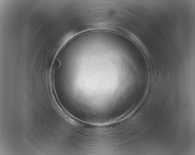 X0000078231291200611101000