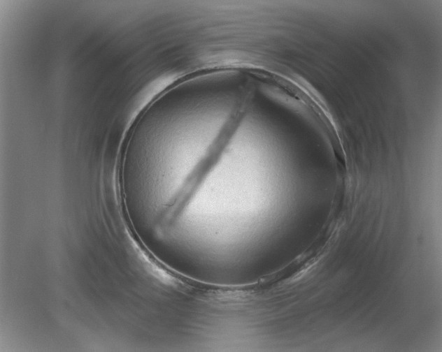 X0000078231293200611101000