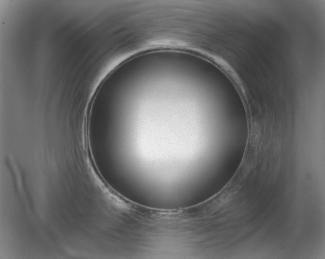 X0000078231295200611101000