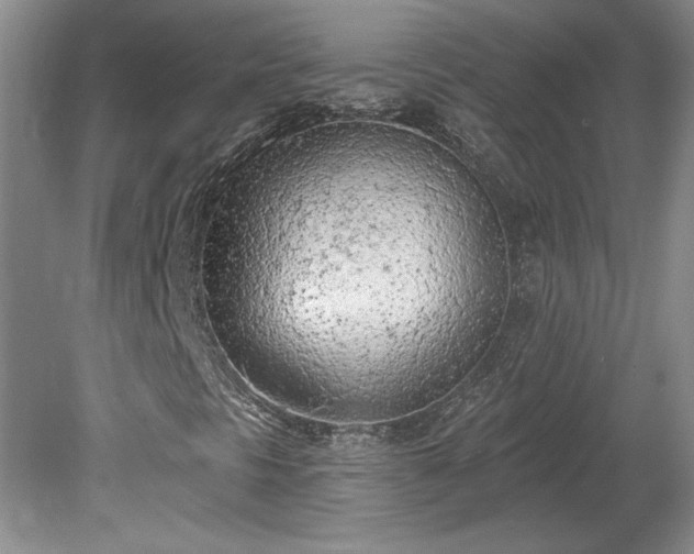 X0000078231297200611100959