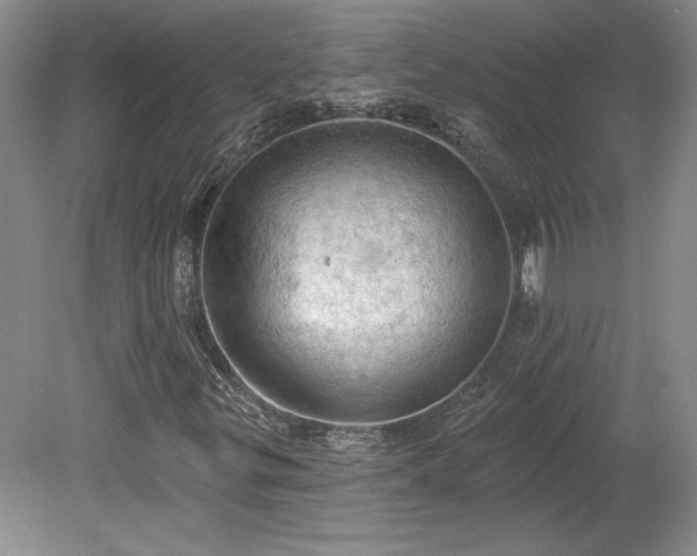 X0000078231299200611100959