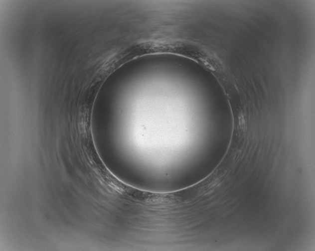X0000078231300200611100959