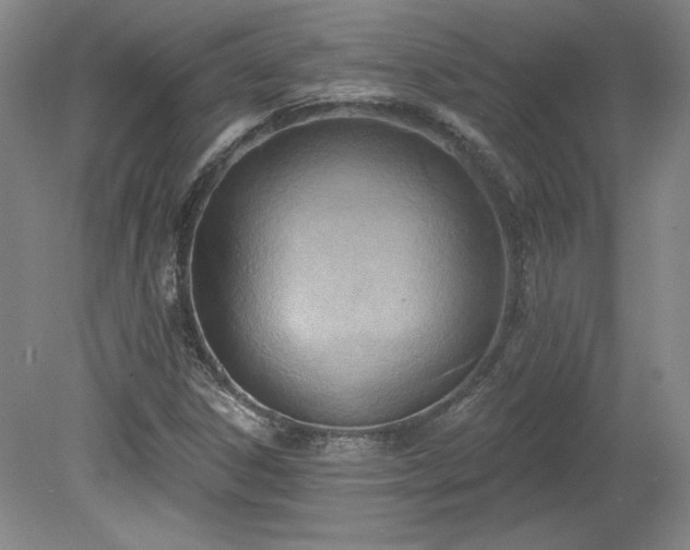 X0000078231306200611100959