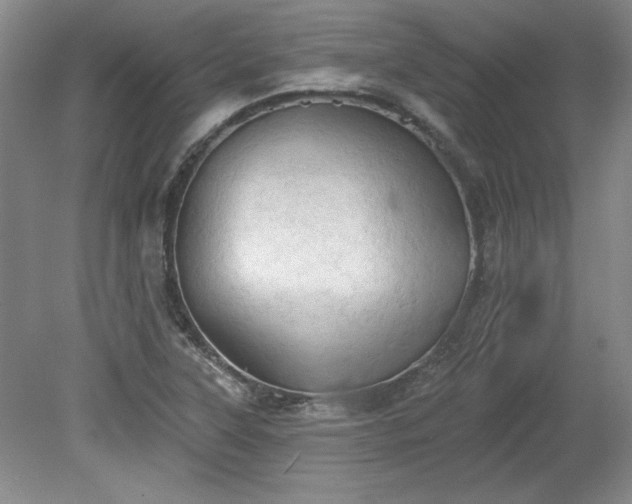 X0000078231315200611100959