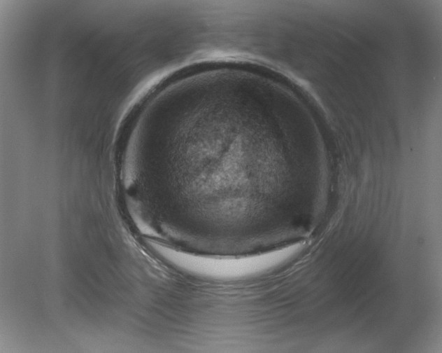 X0000078231319200611100959