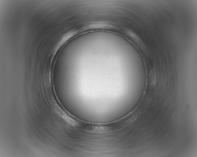 X0000078231322200611100959