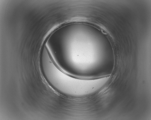 X0000078231325200611100959