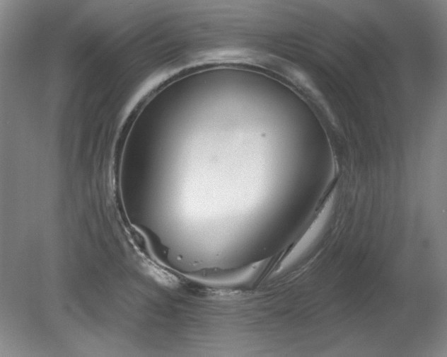 X0000078231328200611100959