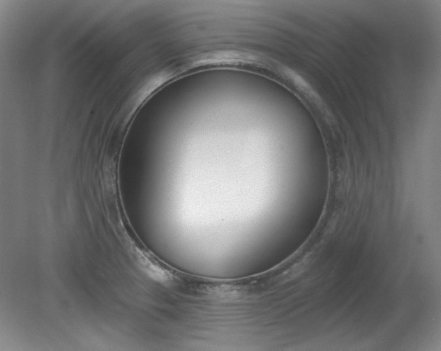 X0000078231329200611100959