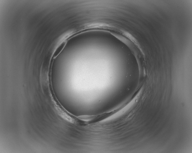 X0000078231330200611100959