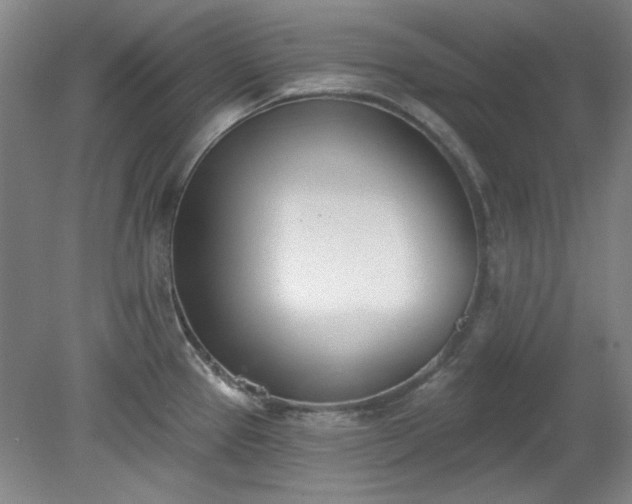 X0000078231337200611100959