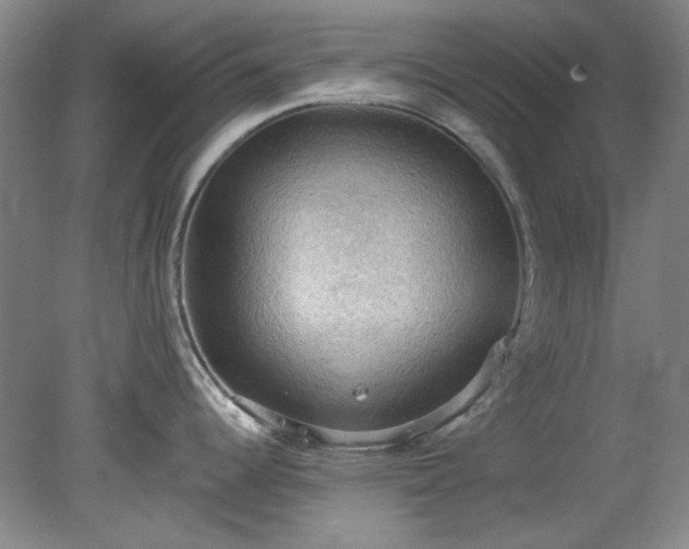 X0000078231344200611101000