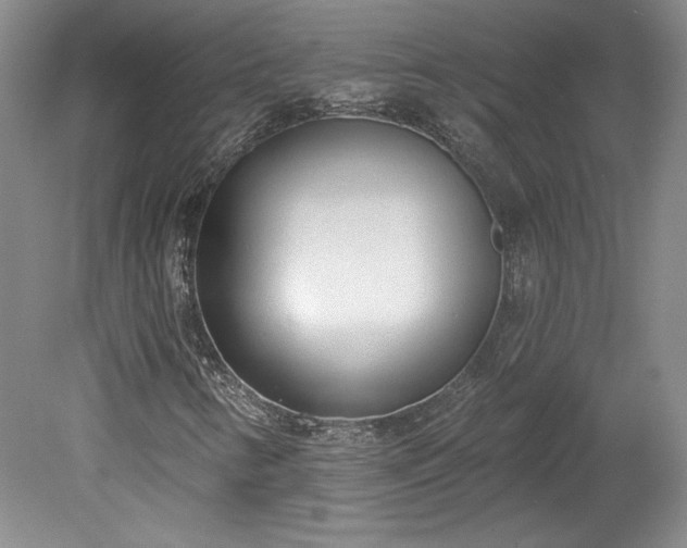 X0000078231346200611100959