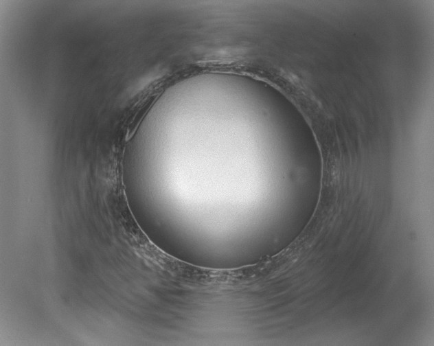 X0000078231350200611100959