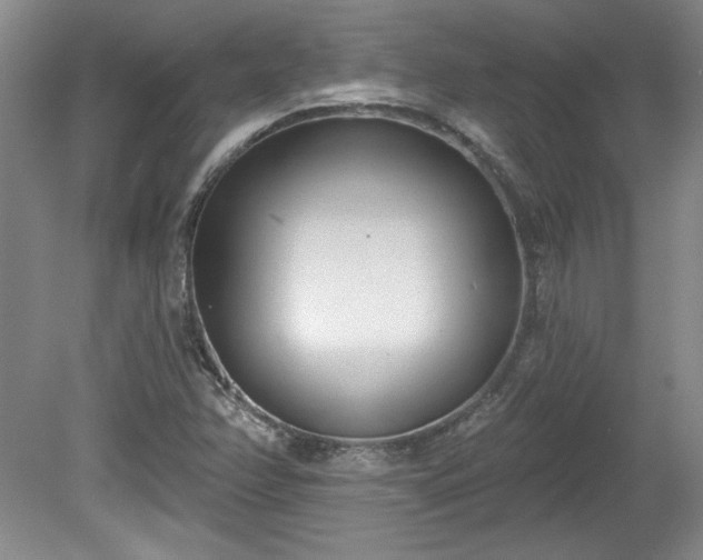 X0000078231358200611100959