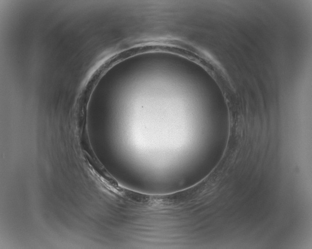 X0000078231360200611100959