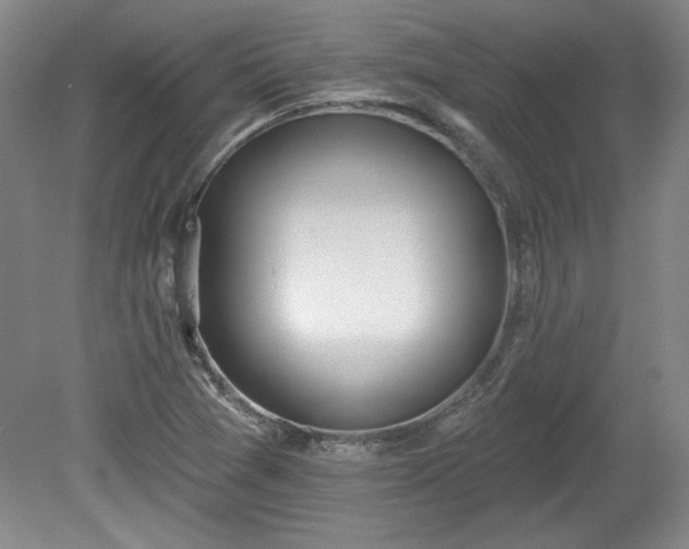 X0000078231361200611100958