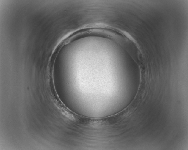 X0000078231364200611100958