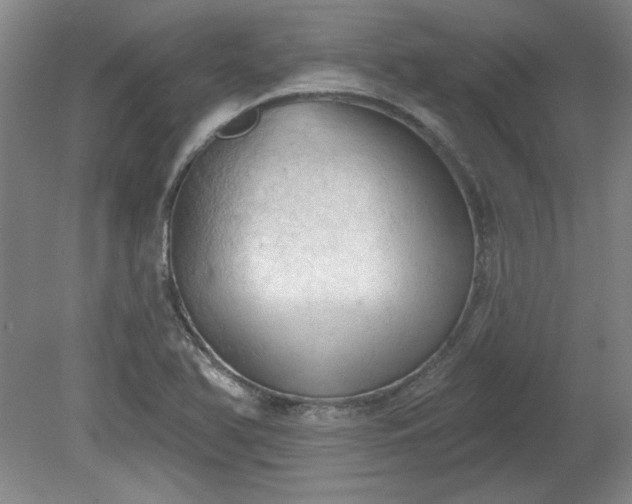 X0000078231366200611100958