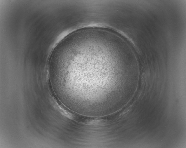 X0000078231367200611100958