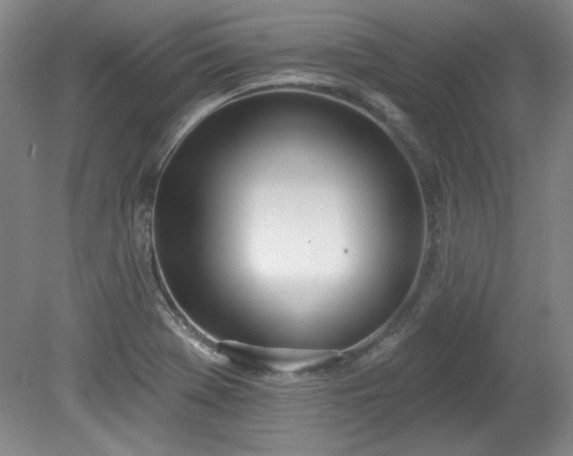 X0000078231369200611100958