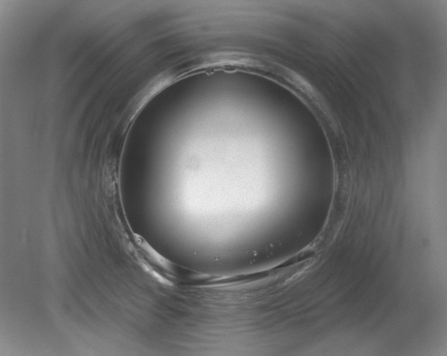 X0000078231377200611100958