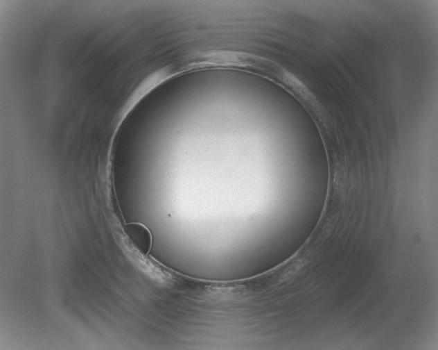 X0000078231378200611100958