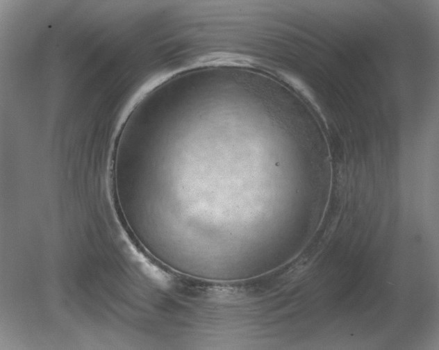 X0000078231379200611100958
