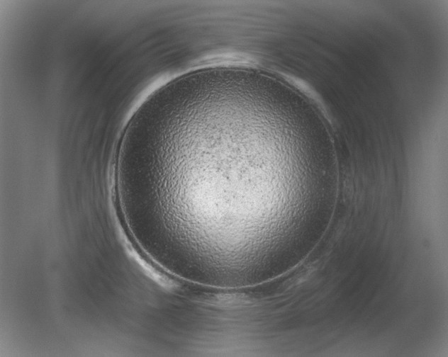 X0000078231383200611100958
