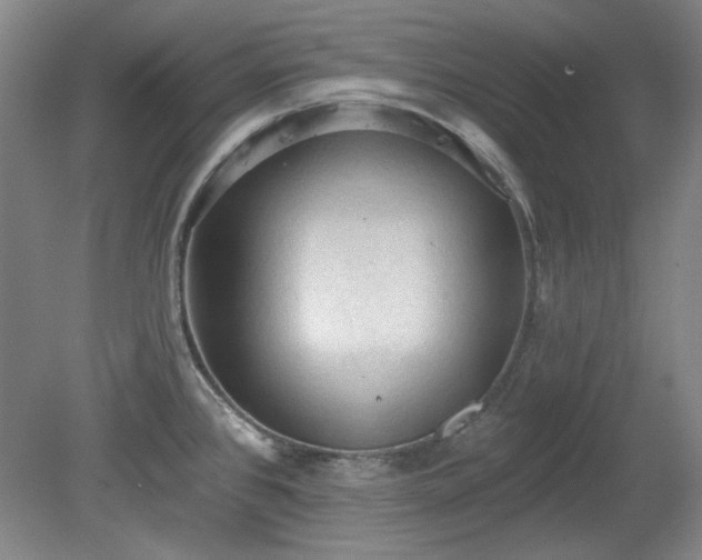 X0000078231384200611100958