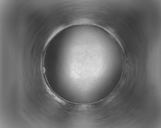 X0000078231390200611100958