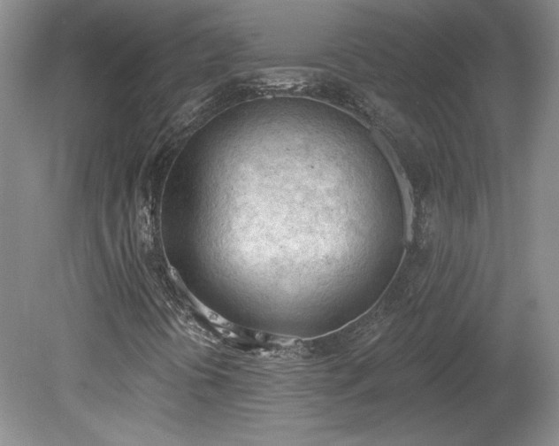 X0000078231394200611100957