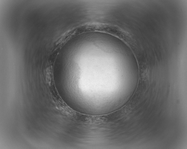 X0000078231397200611100957