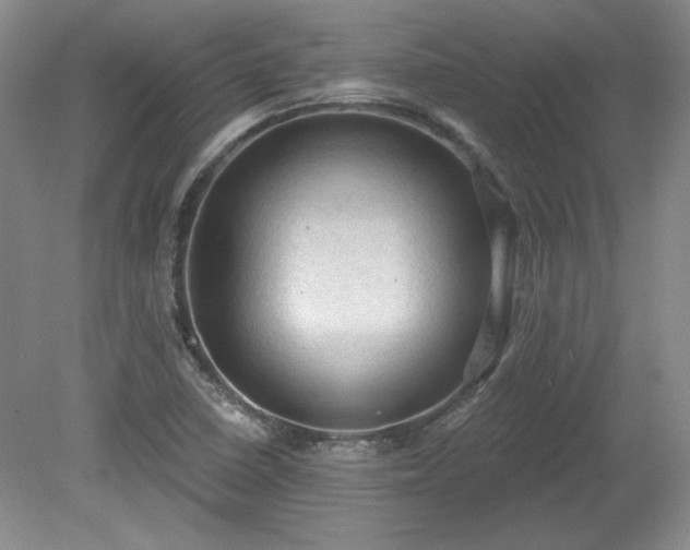 X0000078231410200611100957