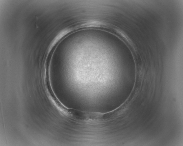 X0000078231418200611100958