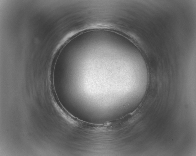 X0000078231422200611100958