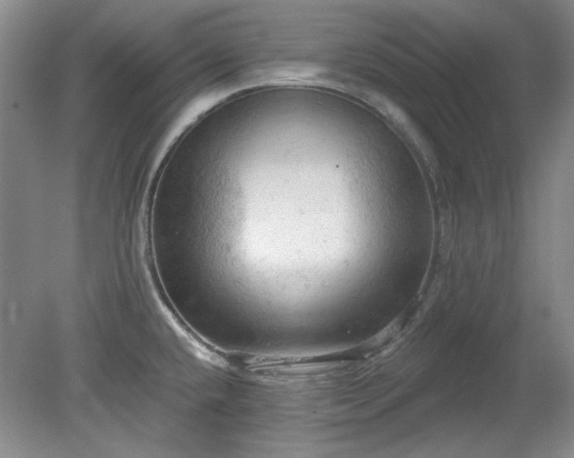 X0000078231432200611100958