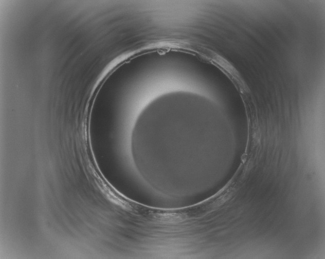 X0000078231436200611100958