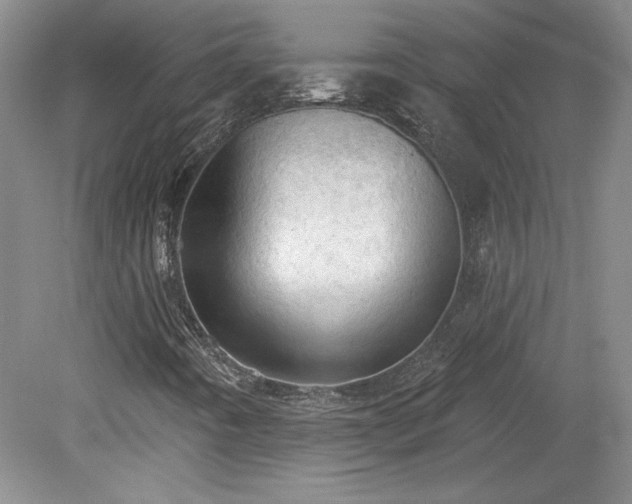 X0000078231442200611100957