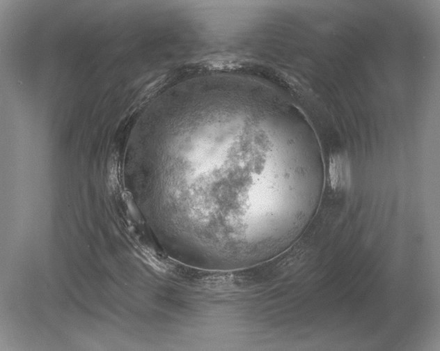 X0000078231444200611100957