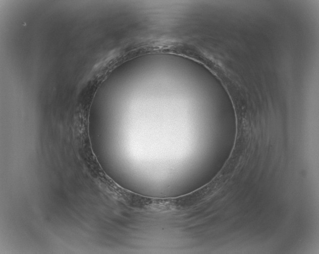 X0000078231447200611100957