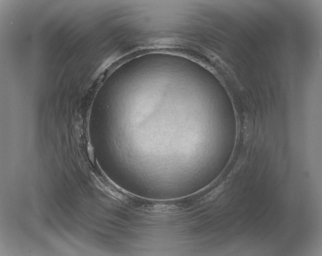 X0000078231449200611100957