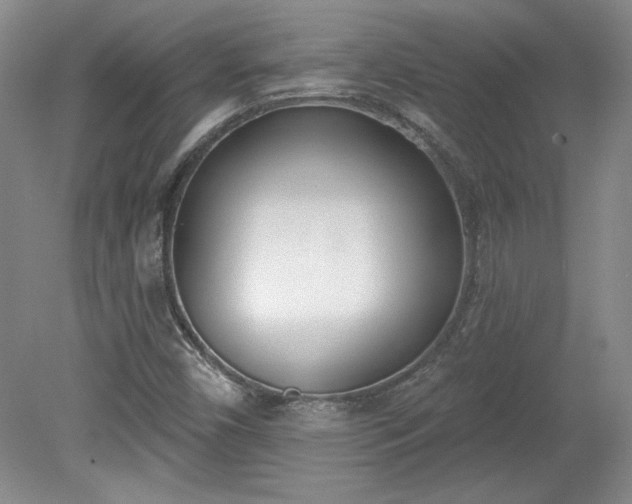 X0000078231450200611100957