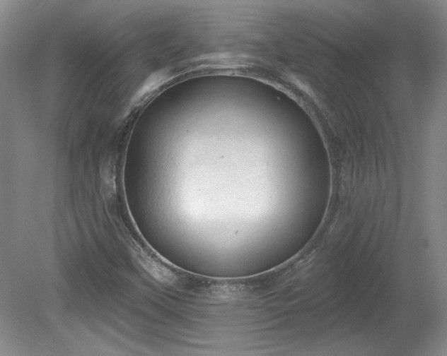 X0000078231451200611100957