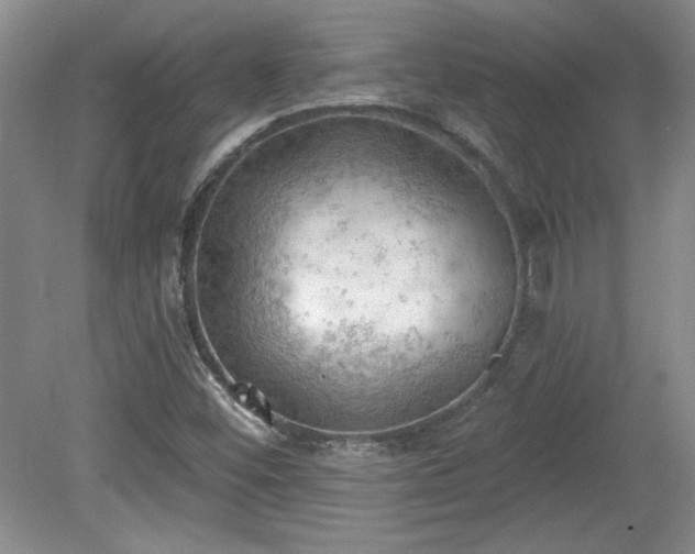 X0000078231452200611100957