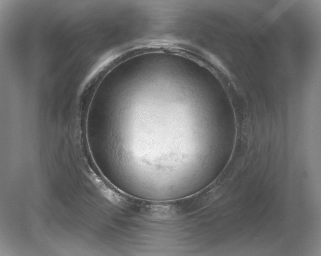 X0000078231456200611100957