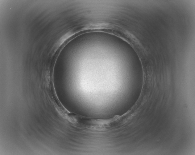 X0000078231457200611100957